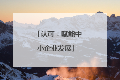 认可：赋能中小企业发展