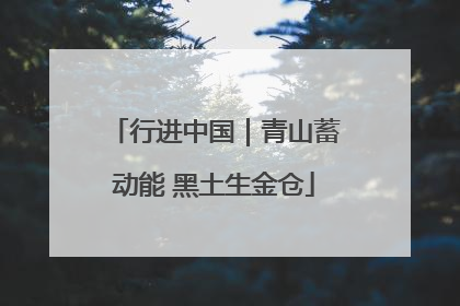 行进中国｜青山蓄动能 黑土生金仓