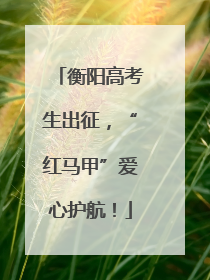 衡阳高考生出征，“红马甲”爱心护航！