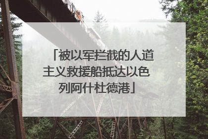 被以军拦截的人道主义救援船抵达以色列阿什杜德港