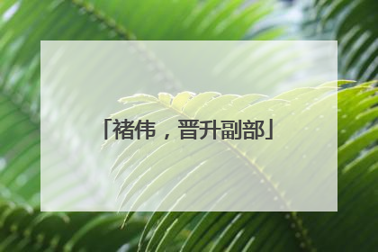 褚伟，晋升副部