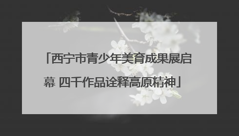 西宁市青少年美育成果展启幕 四千作品诠释高原精神