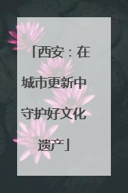 西安：在城市更新中守护好文化遗产