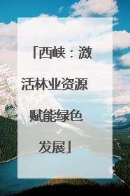 西峡：激活林业资源 赋能绿色发展