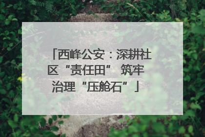 西峰公安：深耕社区“责任田” 筑牢治理“压舱石”