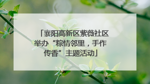襄阳高新区紫薇社区举办“粽情邻里，手作传香”主题活动