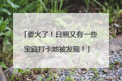 要火了！日照又有一些宝藏打卡地被发现！