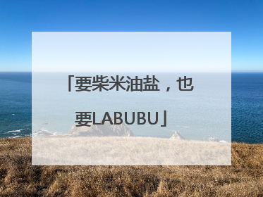 要柴米油盐，也要LABUBU