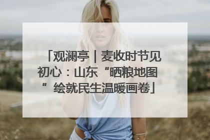 观澜亭｜麦收时节见初心：山东“晒粮地图”绘就民生温暖画卷