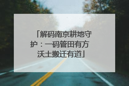 解码南京耕地守护：一码管田有方 沃土搬迁有道