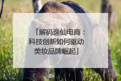 解码逸仙电商：科技创新如何驱动美妆品牌崛起