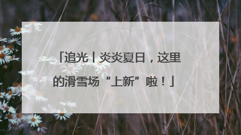 追光丨炎炎夏日，这里的滑雪场“上新”啦！