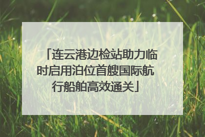连云港边检站助力临时启用泊位首艘国际航行船舶高效通关