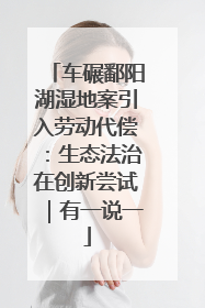 车碾鄱阳湖湿地案引入劳动代偿：生态法治在创新尝试｜有一说一
