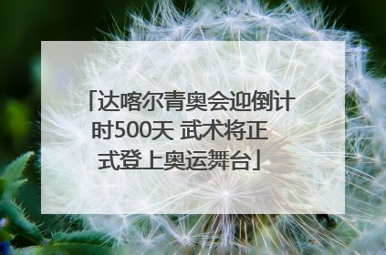 达喀尔青奥会迎倒计时500天 武术将正式登上奥运舞台