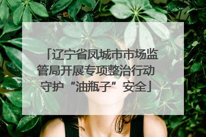 辽宁省凤城市市场监管局开展专项整治行动守护“油瓶子”安全