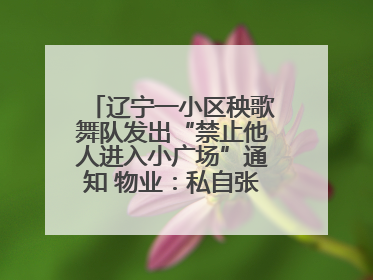 辽宁一小区秧歌舞队发出“禁止他人进入小广场”通知 物业：私自张贴，已撤掉