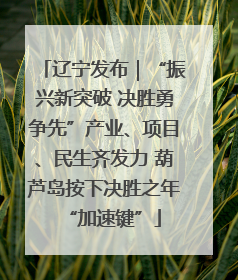 辽宁发布｜“振兴新突破 决胜勇争先”产业、项目、民生齐发力 葫芦岛按下决胜之年“加速键”