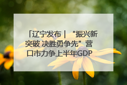 辽宁发布｜“振兴新突破 决胜勇争先”营口市力争上半年GDP增长6%左右
