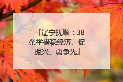 辽宁抚顺：38条举措稳经济、促振兴、勇争先