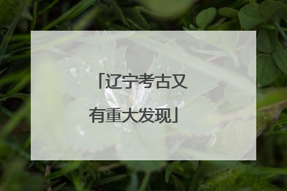 辽宁考古又有重大发现
