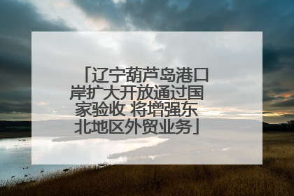 辽宁葫芦岛港口岸扩大开放通过国家验收 将增强东北地区外贸业务