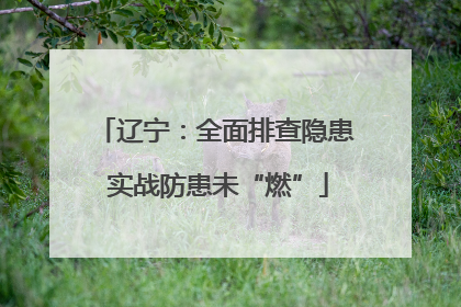 辽宁：全面排查隐患 实战防患未“燃”