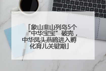 象山韭山列岛5个“中华宝宝”破壳，中华凤头燕鸥进入孵化育儿关键期