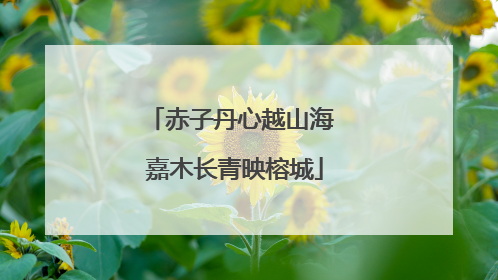 赤子丹心越山海 嘉木长青映榕城