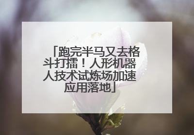 跑完半马又去格斗打擂！人形机器人技术试炼场加速应用落地