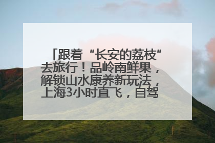 跟着“长安的荔枝”去旅行！品岭南鲜果，解锁山水康养新玩法，上海3小时直飞，自驾高速费优惠