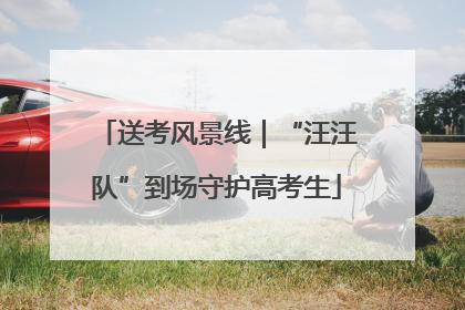 送考风景线｜“汪汪队”到场守护高考生