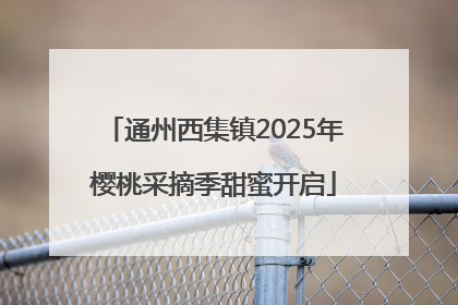 通州西集镇2025年樱桃采摘季甜蜜开启