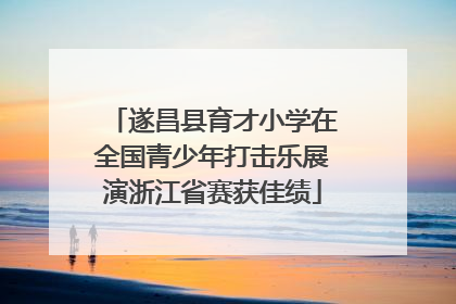 遂昌县育才小学在全国青少年打击乐展演浙江省赛获佳绩