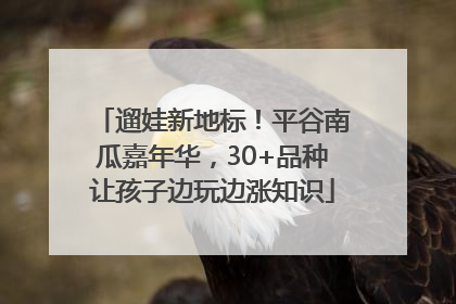 遛娃新地标！平谷南瓜嘉年华，30+品种让孩子边玩边涨知识
