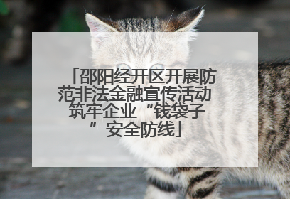 邵阳经开区开展防范非法金融宣传活动 筑牢企业“钱袋子”安全防线