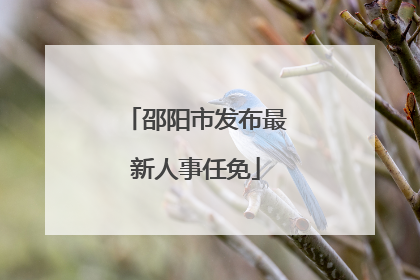 邵阳市发布最新人事任免