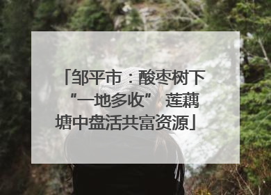 邹平市：酸枣树下“一地多收” 莲藕塘中盘活共富资源
