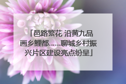 邑路繁花 沿黄九品 画乡鲤都……聊城乡村振兴片区建设亮点纷呈