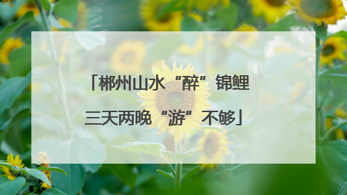 郴州山水“醉”锦鲤 三天两晚“游”不够