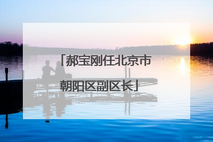 郝宝刚任北京市朝阳区副区长