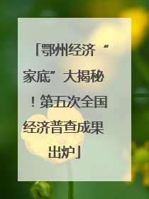 鄂州经济“家底”大揭秘！第五次全国经济普查成果出炉
