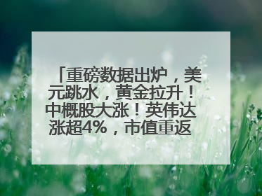 重磅数据出炉，美元跳水，黄金拉升！中概股大涨！英伟达涨超4%，市值重返全球第一！黄仁勋计划出售至多600万股股票