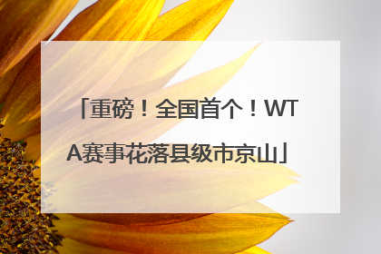 重磅！全国首个！WTA赛事花落县级市京山