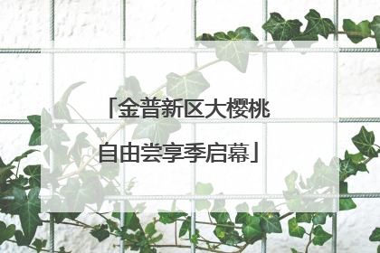 金普新区大樱桃自由尝享季启幕