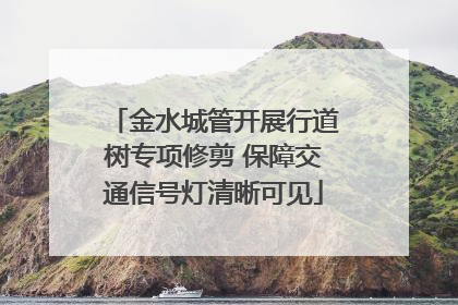 金水城管开展行道树专项修剪 保障交通信号灯清晰可见