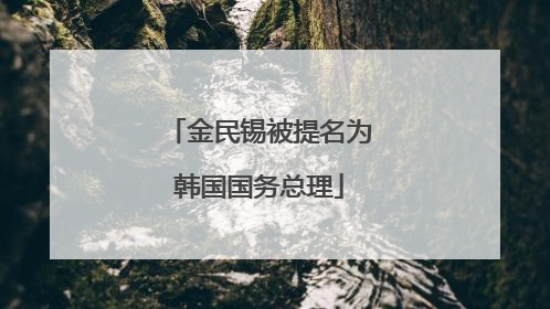 金民锡被提名为韩国国务总理