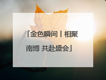 金色瞬间丨相聚南博 共赴盛会