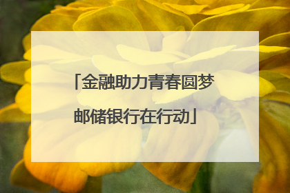 金融助力青春圆梦邮储银行在行动
