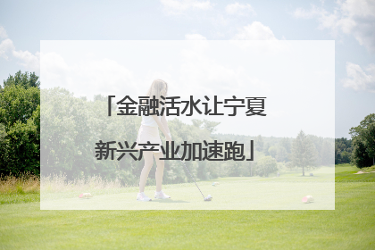金融活水让宁夏新兴产业加速跑